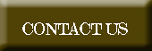 Contact us Button